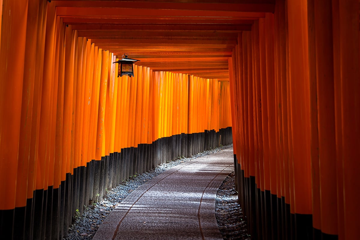 Spend Time With Friends In Japan