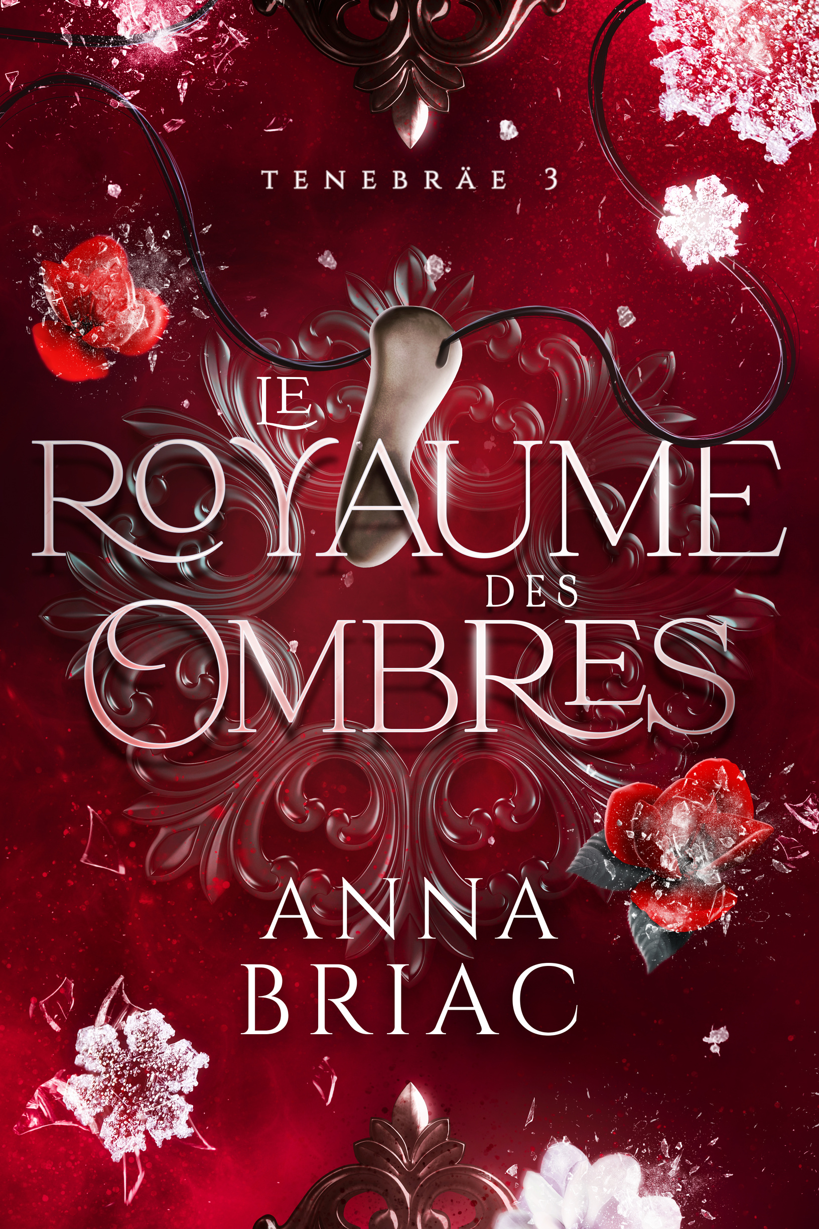 Tenebräe Tome 3 : Le Royaume des ombres